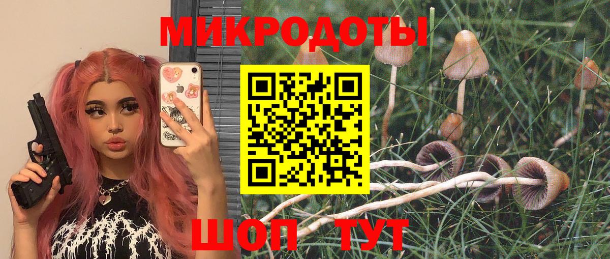 Галлюциногенные грибы Psilocybe  Вход с VPN  Ялта 